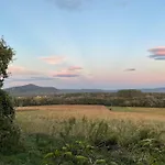 Stupa-rezi-tatika-haz *