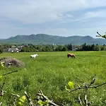 Stupa-rezi-tatika-haz Apartman *