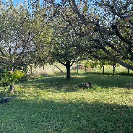 Stupa-rezi-tatika-haz Zalaszanto