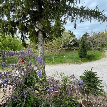 Apartmán Stupa-rezi-tatika-haz Zalaszanto