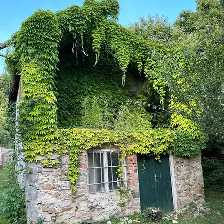 Stupa-rezi-tatika-haz Zalaszanto