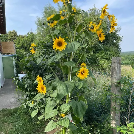 Lägenhet Stupa-rezi-tatika-haz *