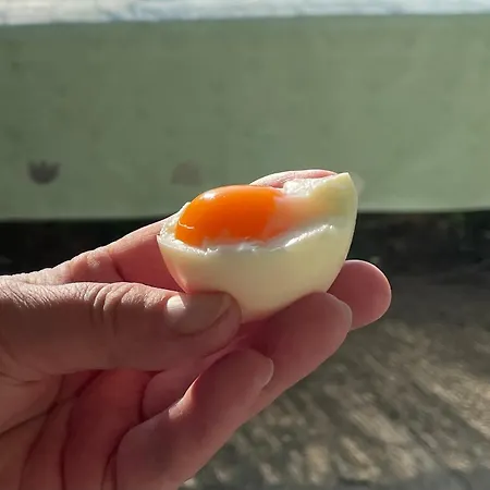 Stupa-rezi-tatika-haz *