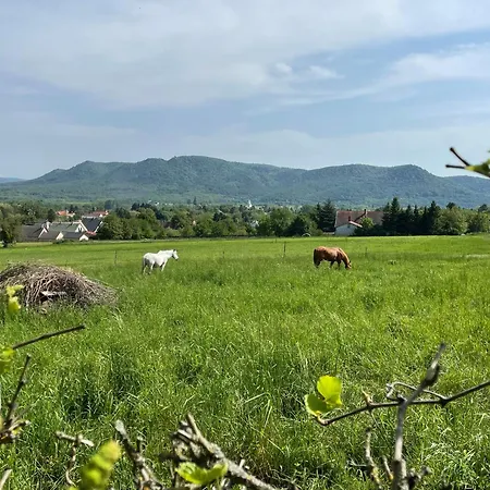 Stupa-rezi-tatika-haz Appartamento *