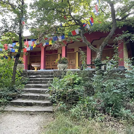 Stupa-rezi-tatika-haz