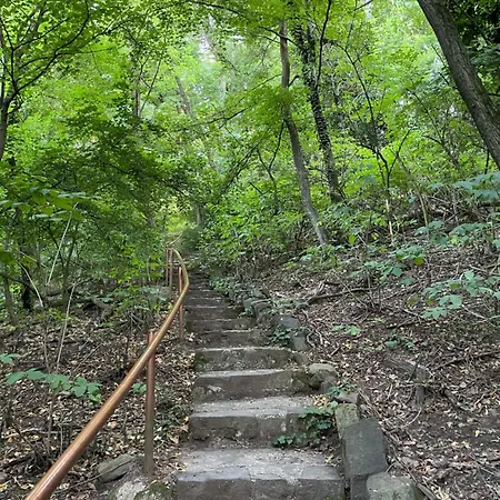 Stupa-rezi-tatika-haz Lägenhet