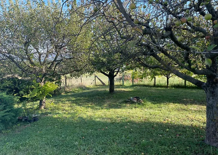 Stupa-rezi-tatika-haz Zalaszántó