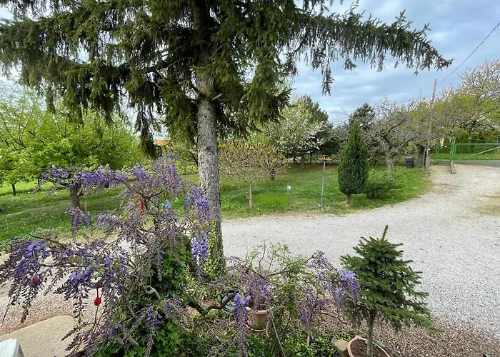Appartement Stupa-rezi-tatika-haz Zalaszanto