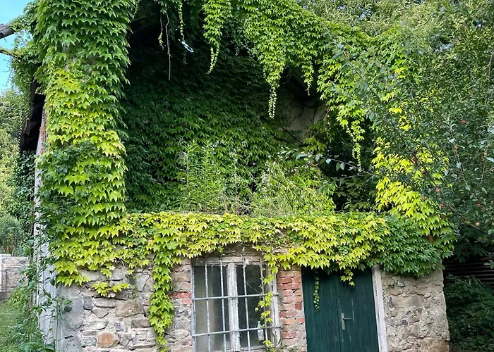 Stupa-rezi-tatika-haz Zalaszanto