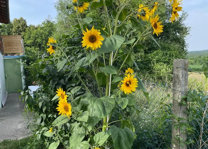 Appartement Stupa-rezi-tatika-haz *