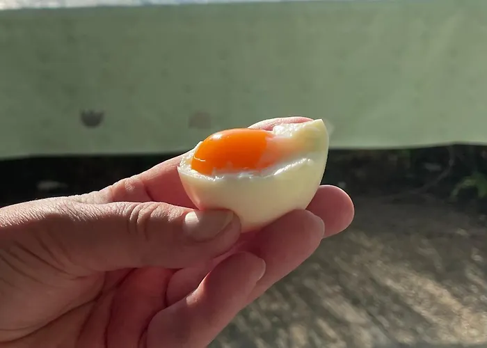 Stupa-rezi-tatika-haz *