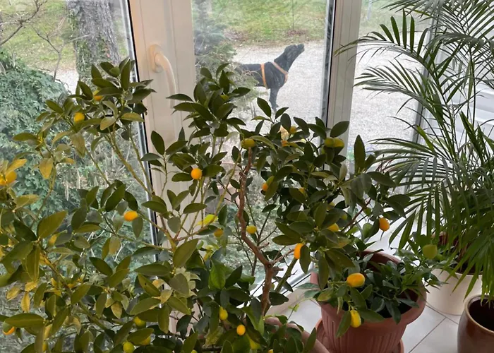 Stupa-rezi-tatika-haz Zalaszántó