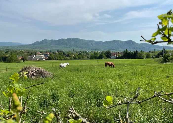 Stupa-rezi-tatika-haz Appartement *